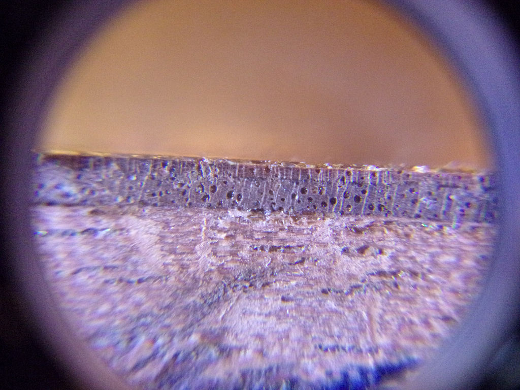 magnified view of veneer glued to a substrate