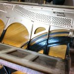 The upper plate is finished in antique gold while the lower plate in a gloss black